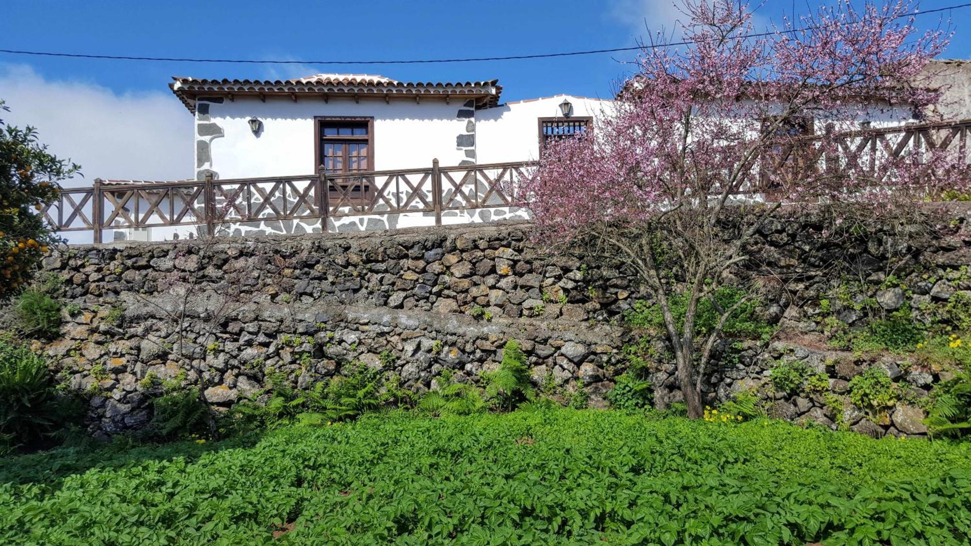 Casa Rural Monte Del Agua Pension Los Silos Buitenkant foto